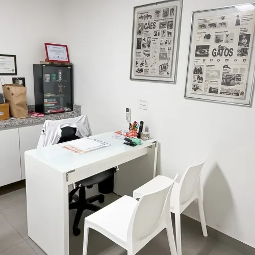 Consultorio veterinario da Migliano Vet Care no Pacaembu